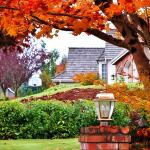 Autumn on the Eastside. Photo courtesy of Stanley Yuan