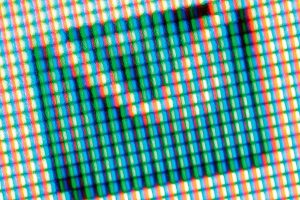 Oppose Bellevue’s decision to seize homes | Letter