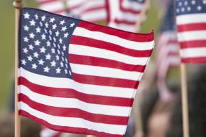 Reflections and remembrance | Veterans Day poem