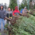 Bellevue Boy Scouts’ Christmas tree lot open through Dec. 18