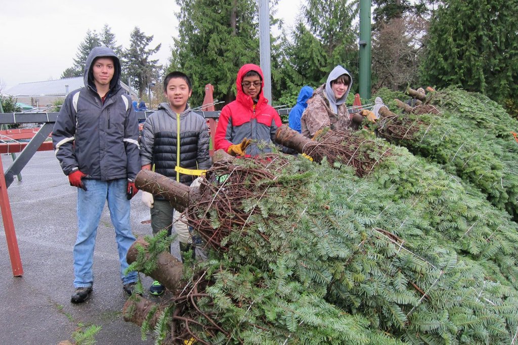 Bellevue Boy Scouts’ Christmas tree lot open through Dec. 18