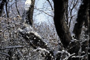 Tips for staying safe amid record cold temperatures