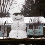 PHOTOS | Snow days in Bellevue