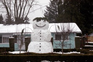 PHOTOS | Snow days in Bellevue