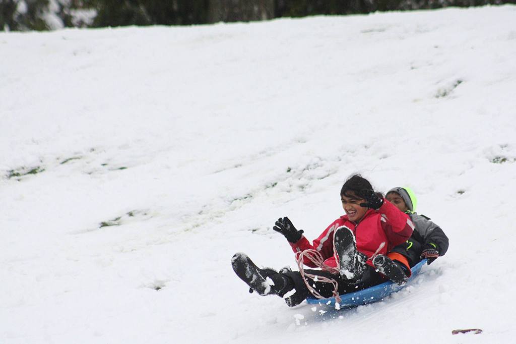 (Allison DeAngelis/staff photo)