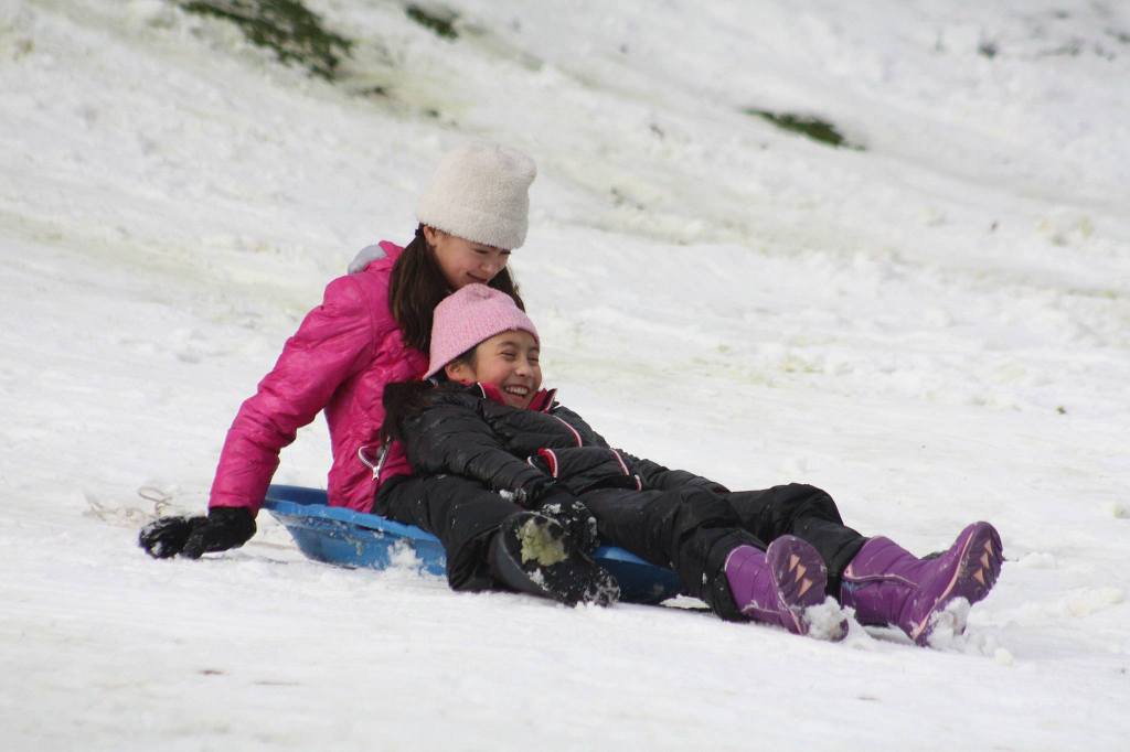 (Allison DeAngelis/staff photo)