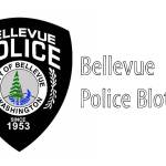 Driver distracted by eating eggroll hits cop car | Bellevue Police Blotter Feb. 20-26