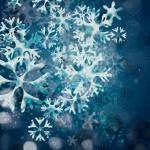 Not everyone is a liberal snowflake who condones sanctuary cities | Letter