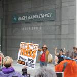 Bellevue community rallies to preserve 300 trees at PSE headquarters