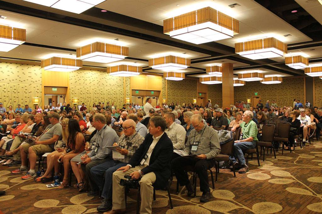 Cows lodge at Bellevue Hyatt for National Holstein Convention