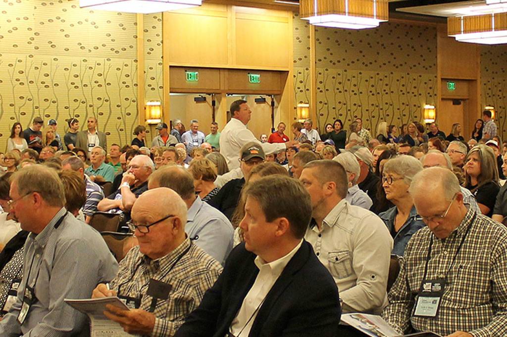 Cows lodge at Bellevue Hyatt for National Holstein Convention