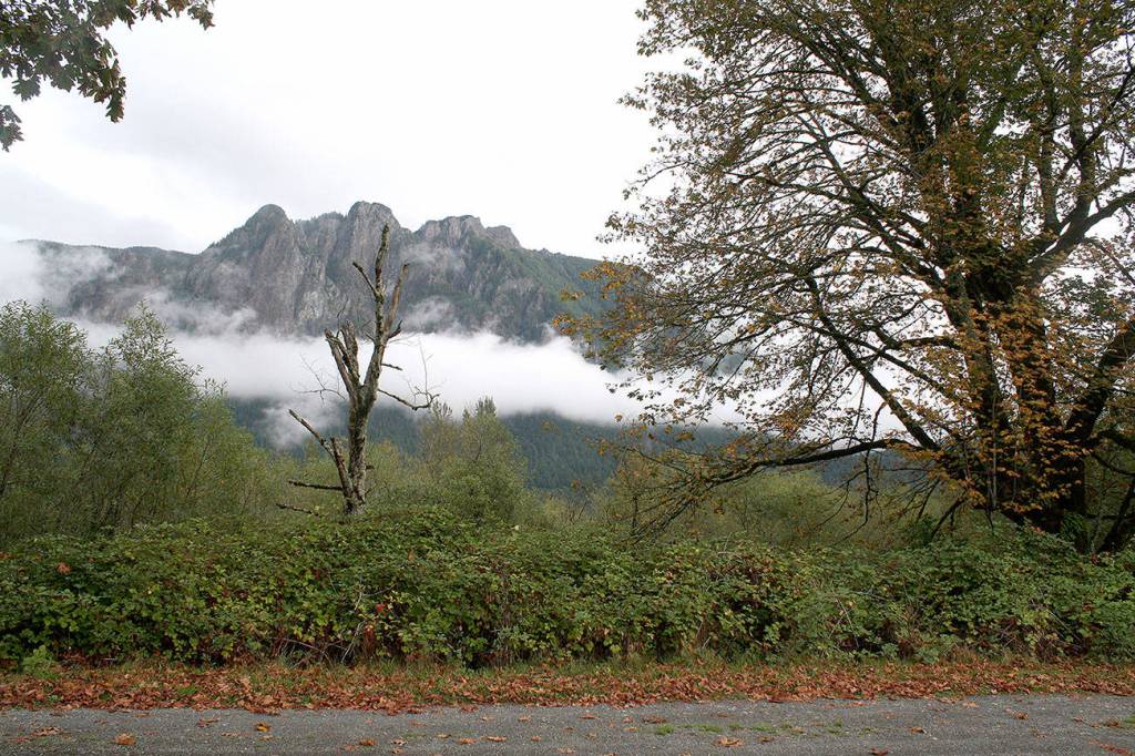 Landowner proposes Washington Technology University campus in Bellevue