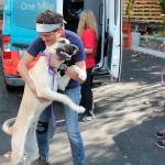 Bellevue-based Seattle Humane animal shelter receives first truckload of dogs affected by Texas hurricane