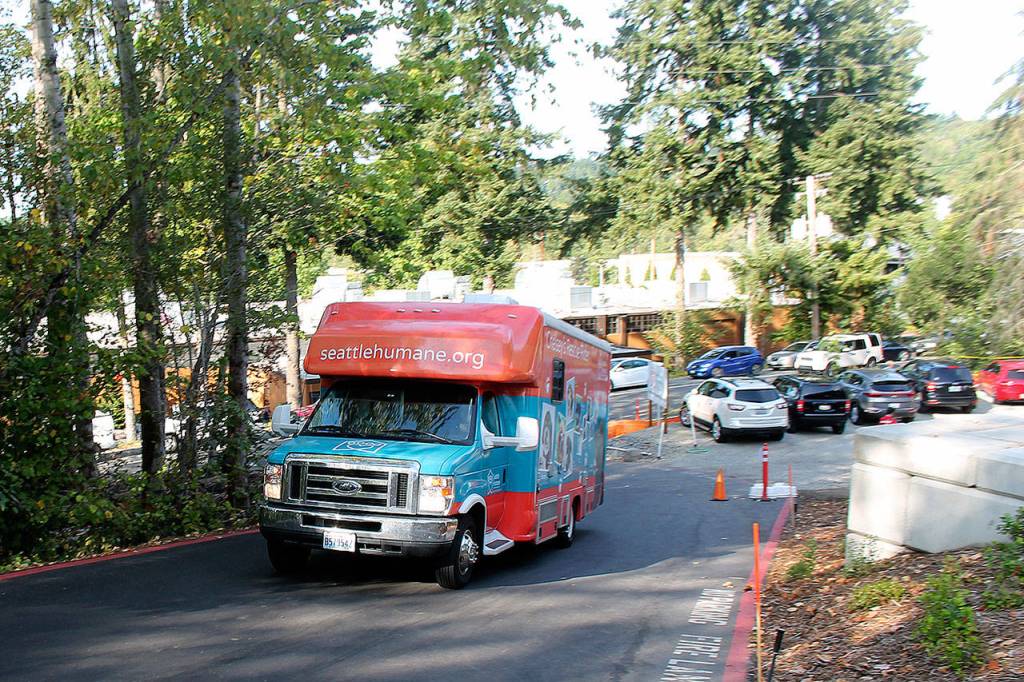 A Seattle Humane van filled with dogs drives up to drop them off. Raechel Dawson/staff photo