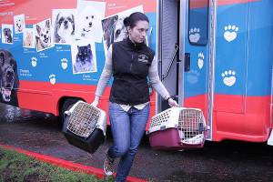 Bellevue-based Seattle Humane animal shelter to accept 47 more pets from Texas