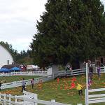 Kelsey Creek Farm Fair features tractors, pumpkins and live music this Saturday