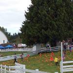 Kelsey Creek Farm Fair features tractors, pumpkins and live music this Saturday