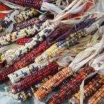 The Mercer Island Harvest Market will be from 10 a.m. to 3 p.m. on Nov. 19. Photo courtesy of Lora Liegel