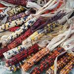 Mercer Island’s Harvest Market returns in November