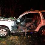 A tree fell on a womans Honda Pilot while she was driving on Interstate 90 Monday evening. Photo courtesy of Bellevue Fire Department