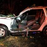 Woman injured Monday from downed tree in Bellevue