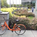 Input sought for demonstration bikeway in Downtown Bellevue