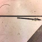 Photo courtesy of Jim Downing                                The arrow Bellevue resident Jim Downing found near the bucks carcass.