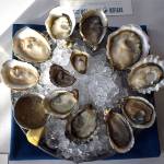 Taylor Shellfish Farms opens in Bellevue this weekend