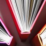 Bellevue Magic Season Ice Arena offers free admission on ‘Library Appreciation Day’