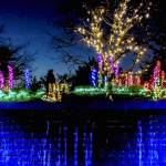 Starting Nov. 25, Garden dLights is open 4:30–9 p.m. nightly at the Bellevue Botanical Garden, 12001 Main St., Bellevue. Courtesy photo