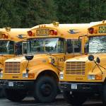 Bellevue School Board approves 3 levies for February special election