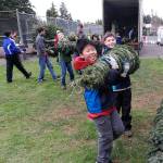 Boy Scouts Troop 626 setting up their annual Christmas tree lot. The tree lot will be open through Dec. 20. Courtesy photo