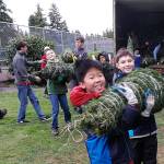 Bellevue Boy Scouts’ Christmas tree lot open through Dec. 20