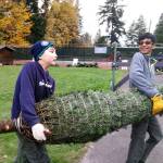 Boy Scouts Troop 626 setting up their annual Christmas tree lot. The tree lot will be open through Dec. 20. Courtesy photo