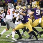 Photo courtesy of Rick Edelman/Rick Edelman Photography                                University of Washington Huskies tight end Drew Sample (No. 88) had one catch for five yards in the Apple Cup on Nov. 26 at Husky Stadium in Seattle. The Huskies defeated the Washington State Cougars 41-14. Sample is a 2014 graduate of Newport High School in Factoria.