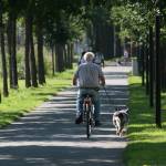 Proliance Orthopaedic surgeon Trevor Scott, MD, recommends older patients do low-impact activities like biking to lose weight. Courtesy photo