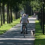 Shedding pounds can soothe joint pain