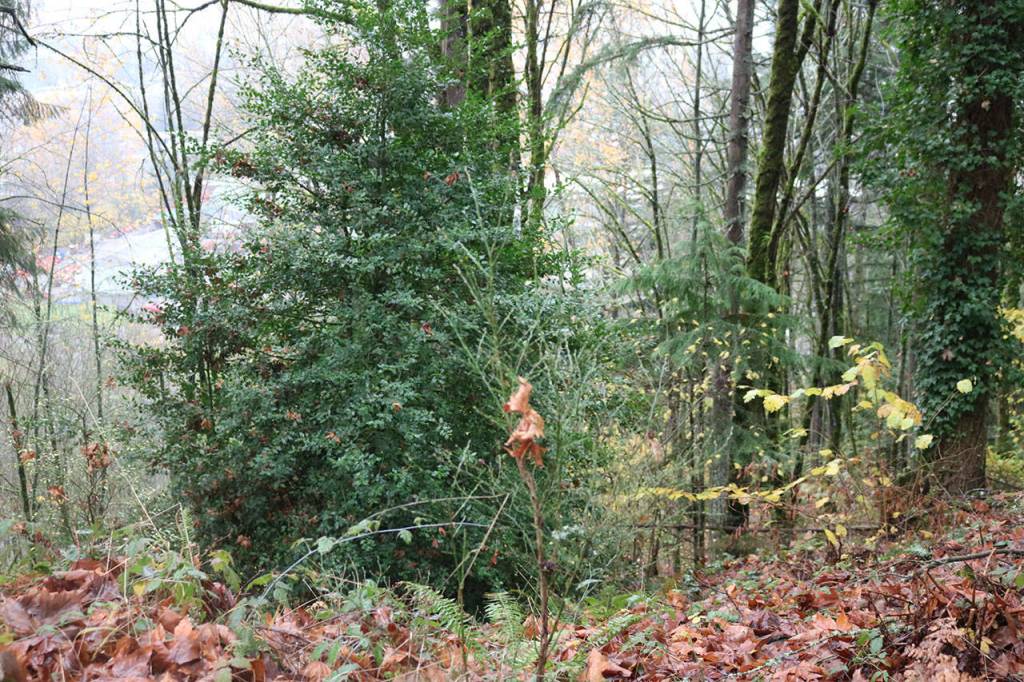 Nicole Jennings/staff photo