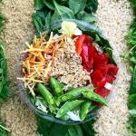 Evergreens to open in Bellevue on Dec. 11