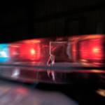 Bellevue police arrest jewelry thief