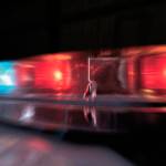 Bellevue police arrest jewelry thief