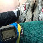 Photo courtesy of Tim Regan