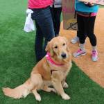 Seattle Women’s March 2.0 in Photos