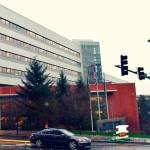 Bellevue renews interim control on shelters