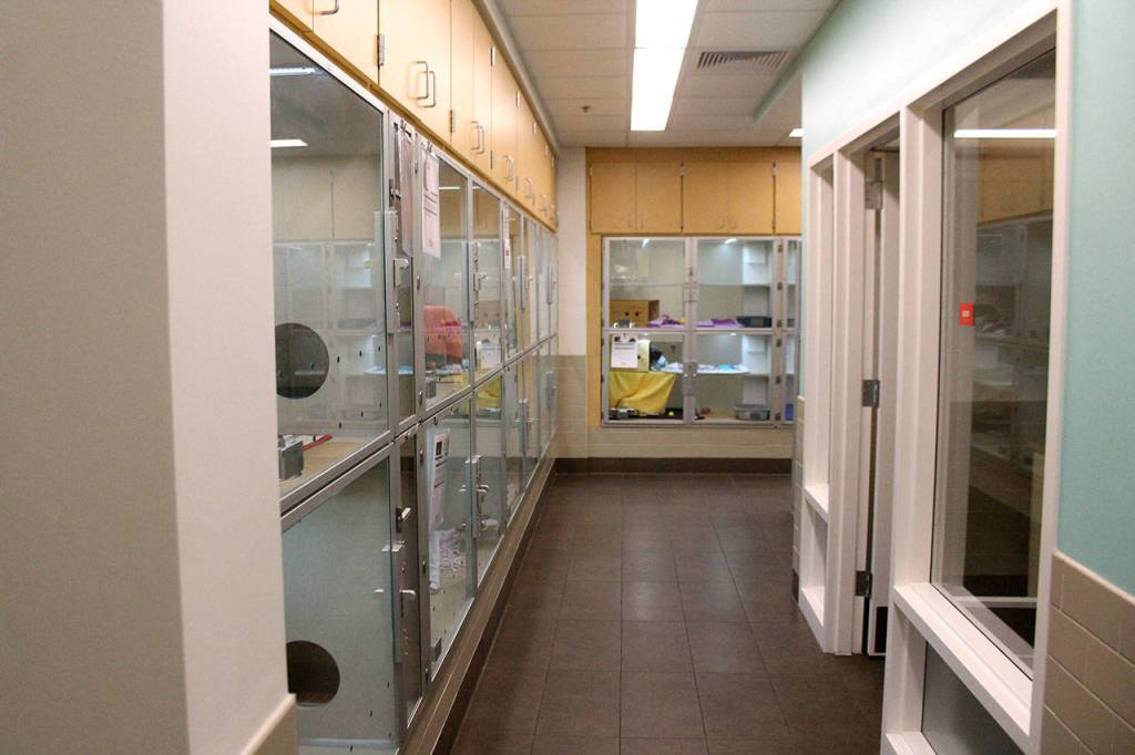 Raechel Dawson/staff photo