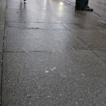 This is the sidewalk outside of Insite. At Issaquah City Council meetings last fall, people stated during public comment that East Hasting Street near Insite was covered with discarded needles. Nicole Jennings/staff photo