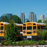 Thank you for support of Bellevue school levies | Letter