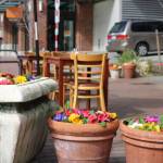Bellevue Main Street in bloom