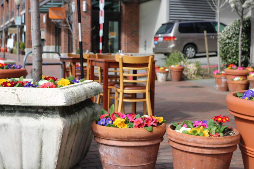 Bellevue Main Street in bloom