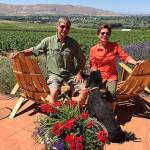 Northwest wine: Red Mountain is red for many reasons